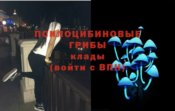 трава Магас