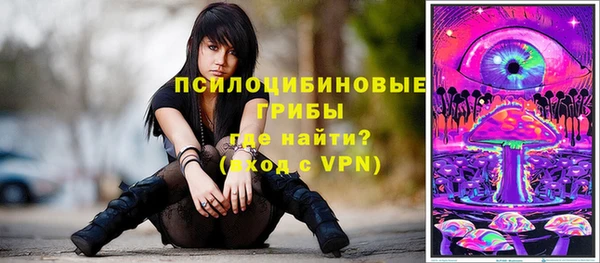 бошки Лиски