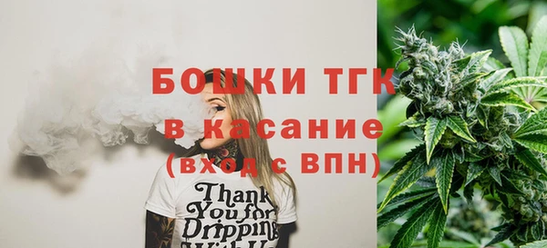 гашик Майский