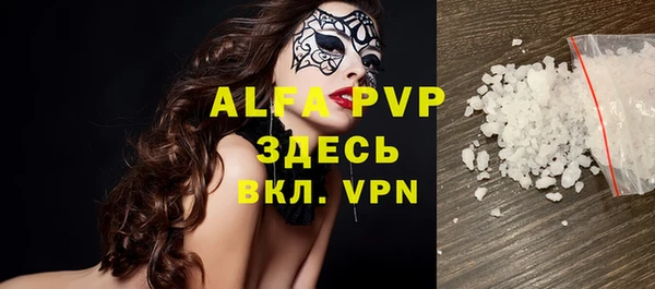 гашик Майский