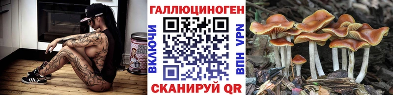 Галлюциногенные грибы Psilocybe  Мелеуз 